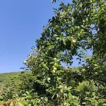 Villa Lux Nature