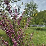 Lux Nature Villa Saraievo