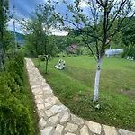 Lux Nature * Sarajevo