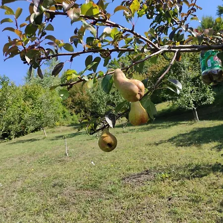 Lux Nature Villa Saraievo