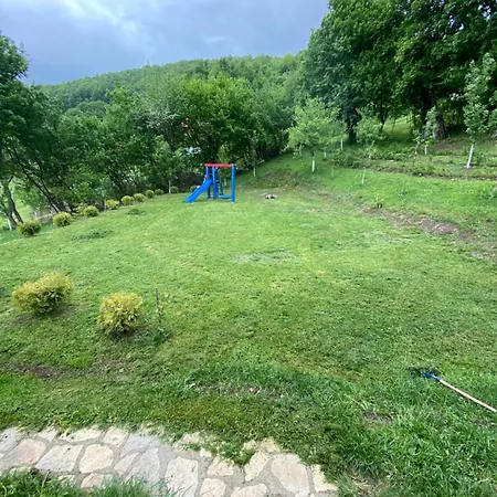 Lux Nature * Saraievo