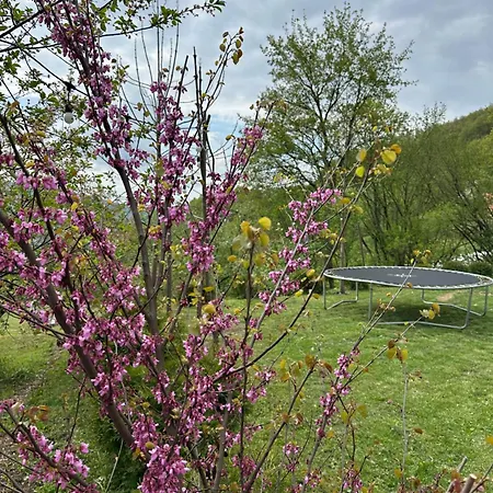 Lux Nature Villa Saraievo