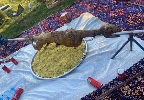 Lux Nature * Sarajevo