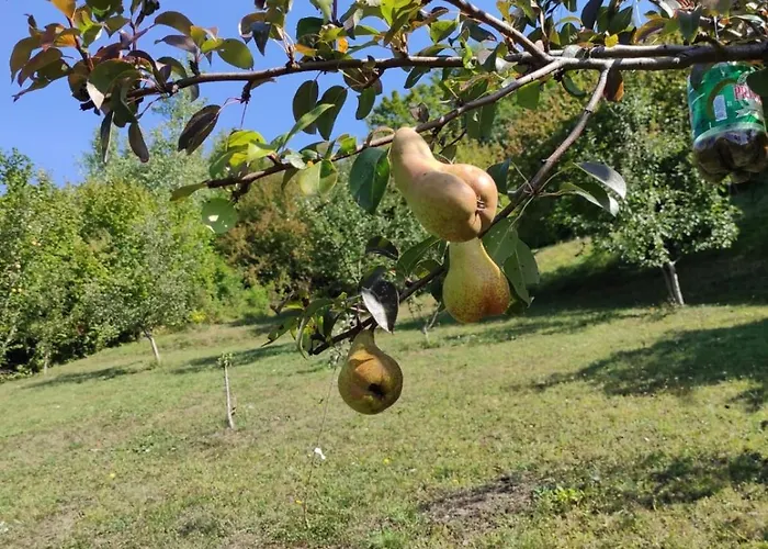 Lux Nature Villa Sarajevo