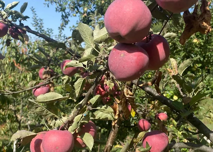Lux Nature Villa Sarajevo
