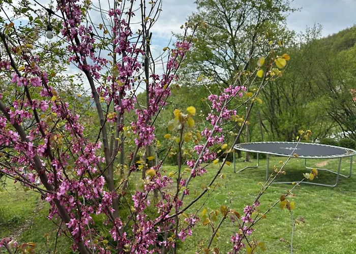 Lux Nature Villa Sarajevo